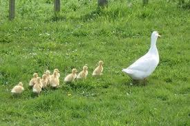 OneMoreFollow's profile picture. Doesn't it feel good to have one more follower?