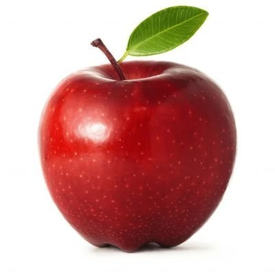 CEO of this 🍎さんのプロフィール画像