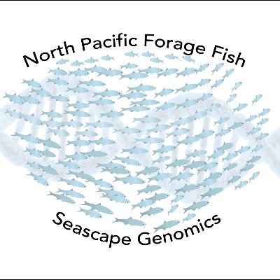 Exploring the intersection between fisheries + genomics by applying evolutionary concepts in the context of large datasets and basin-scale processes.