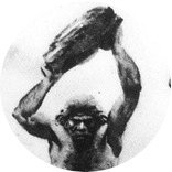 Néandertaliensさんのプロフィール画像