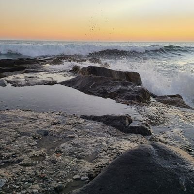 reelsnapier's profile picture. Actress, writer, B.A. in Psych
Find what makes you happy in life!