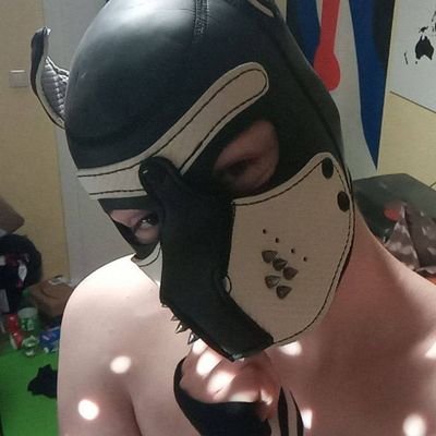 I'am a little slut🤤😏
Puppy, Spiderman-suit, Gearhead, Furry, Femboy lover😍
Germany🇩🇪/ Sachsen Anhalt
Gaymer⌨️
Gierig auf viel Cum und geile Knochen🤤🤤💦