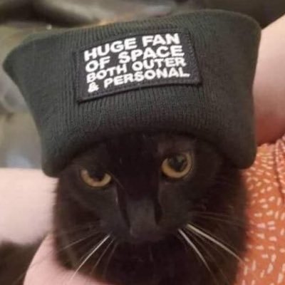 antifandrew's profile picture. my disappointment is immeasurable and my day is ruined // 1312 4L (he/him)