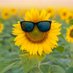 Express Test My Health Sight (@covidtest_pcr) Twitter profile photo Express Test My Health Sight (@covidtest_pcr) Twitter profile photo