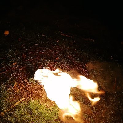 vinicio_caicedo's profile picture. Trabajador y responsable