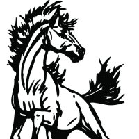 Cedar Vale Schools (@cv_schools) 's Twitter Profile