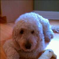 kikilee16's profile picture. 