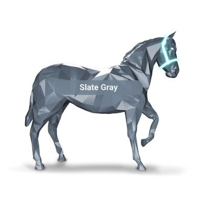 ZED Racer HH -i love racing horses at https://t.co/dtWQWhVDxU