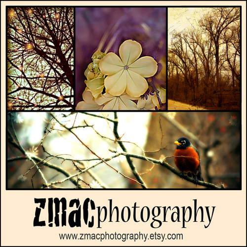 zmacphotography's profile picture. Fine Art Photography and Portraits - thats my game. I love to turn life into a beautiful photograph. Visit my online shop on Etsy!