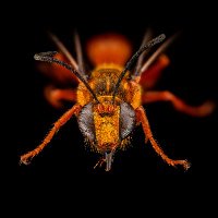 Alexander S. Kroupa (@akroupa) 's Twitter Profile