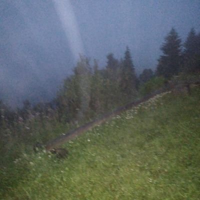 actayr's profile picture. 