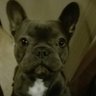 blackfly1982's profile picture. 