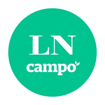 LNcampo Profile Picture