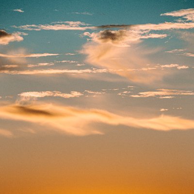 LucasVaz337's profile picture. 