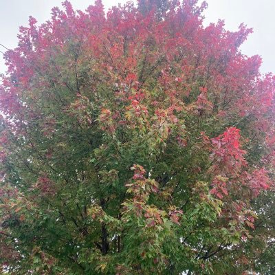 Solidarity2700's profile picture. • cultivating Christ-like inclusion • celebrating God-given diversity •