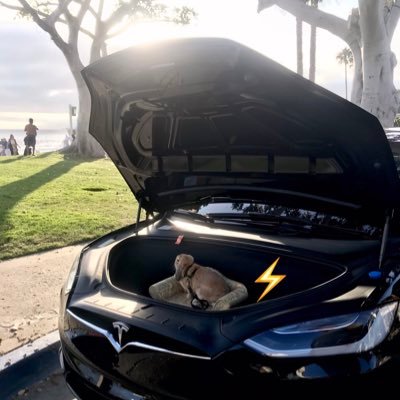 Just a fun, frolicking bun who loves Tesla road trips & giving people snuggles & smiles along the way! Companion animal/stress & pain reliever🐇❤️⚡️🚘🌞🎉