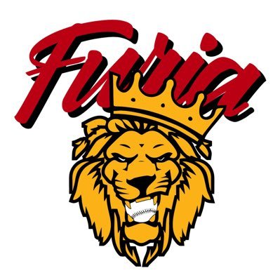 Furia Baseball Profile