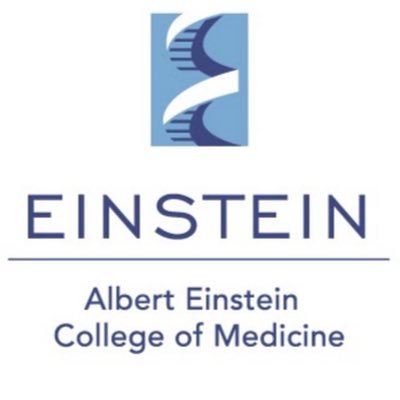 Official twitter for the Albert Einstein/Montefiore Oto-HNS residency program.