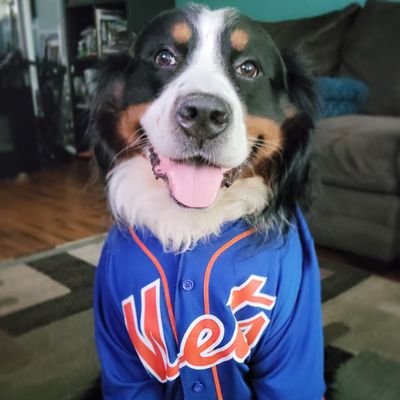 Immigrant NY sports fan. Mets, Jets, Islanders.