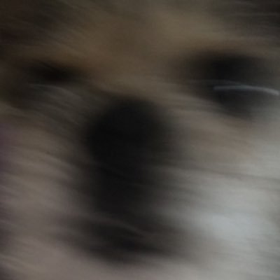 BabyYeebz's profile picture. 