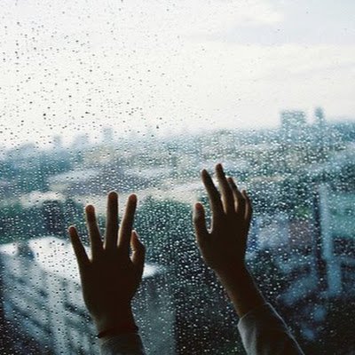 Danq203's profile picture. 