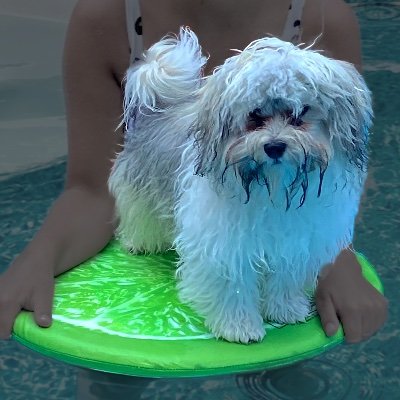 Catalyst_Hue's profile picture. Hello 👋