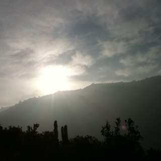 jlgomezle's profile picture. 