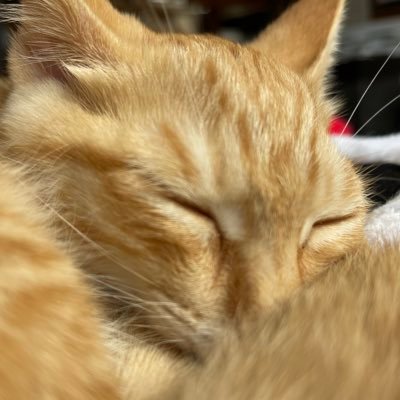 中小企業庁専門家派遣事業の専門家(IT、SNS活用)として駆けずり回っています #SNSビジネス活用 の専門家 #SEO対策、Webサイト作成運用、SNSのビジネス活用で企業支援を延べ100社以上行っています 横手SNSアドバイザー FMよこて(Find Me よこて)事業主