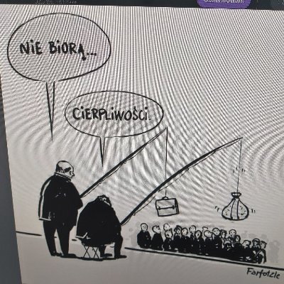 MaciejDopieraa's profile picture. 