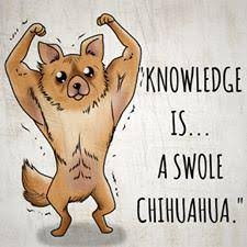 Yes, that is a buff chihuahua in my pfp. Tenshi or Jay, nice to meet you. Welcome to the derangement of my thoughts and fucking feelings
