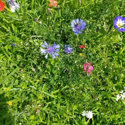 GulselinAdal's profile picture. "Şu muhakkak ki zalimler asla felah bulmaz.” (Yusuf sûresi, )