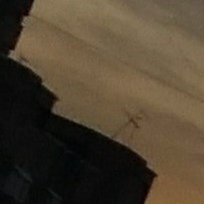 AnimEEsHK_A's profile picture. Animrbxol