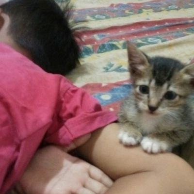 riyandadp's profile picture. 