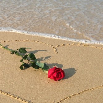 waterfl74966768's profile picture. Weak Pearson