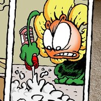 Bob the Angry Flower (@bobtangryflower) 's Twitter Profile Photo