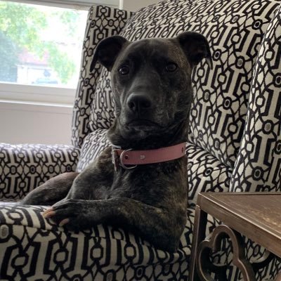 cynsfamily's profile picture. 