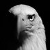 Tarık (@tark3692) Twitter profile photo Tarık (@tark3692) Twitter profile photo