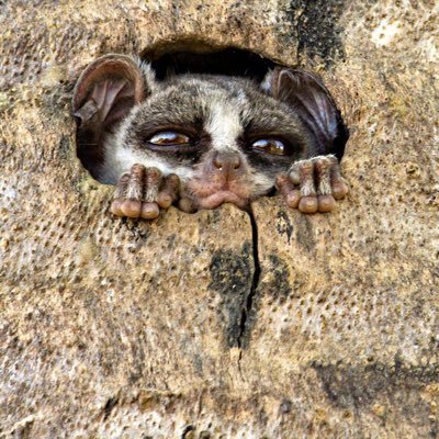 This is the official channel of https://t.co/RTjEtjLjTM