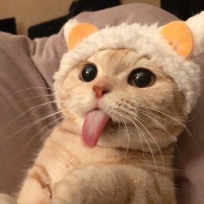 yamoristeele's profile picture. 