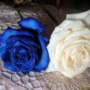 m_mustafa (@1962_mustafa) Twitter
