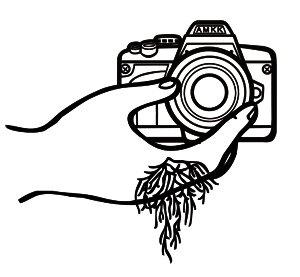 s_shiinoki's profile picture. Botanical Photographer