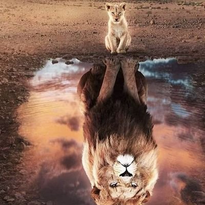 natureActions's profile picture. Nature Actions.
Voices Of Environmental Activists