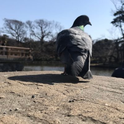 tell8128's profile picture. 人生の初心者。