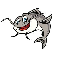 flashfish(@flashfish0x) 's Twitter Profile Photo