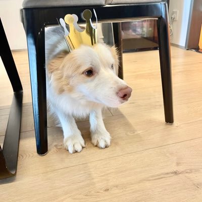 leejaelimmax's profile picture. 