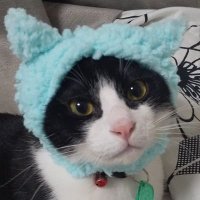 リタポル (@ritarida) 's Twitter Profile