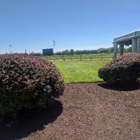 Toastman from Philly (@toastmanpa) 's Twitter Profile Photo