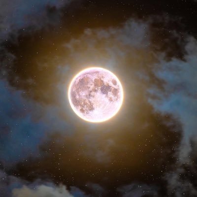 nfsrsgugu's profile picture. 