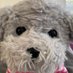 Mia (@linglin163) Twitter profile photo Mia (@linglin163) Twitter profile photo