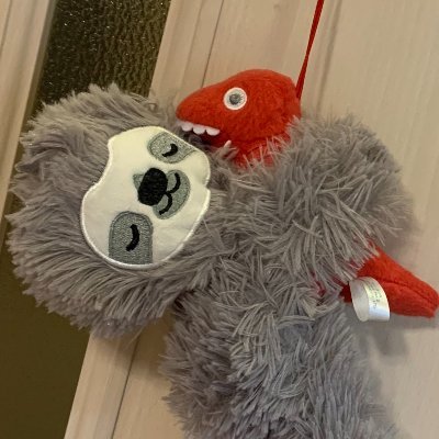 santarou's profile picture. 